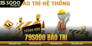 79sodo bảo trì