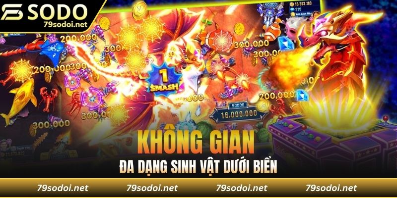Không gian đa dạng sinh vật dưới biển