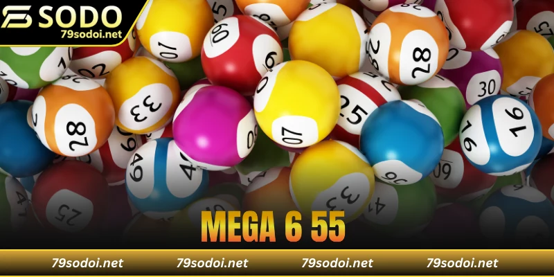 mega 6/55