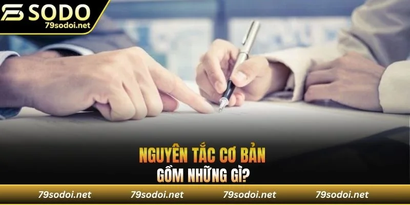 Người chơi phải đồng ý và tuân thủ đầy đủ các điều khoản